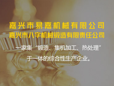 嘉興市易嘉機械有限公司2023 年度綠色低碳發(fā)展年度報告